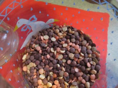 Lentil-Coconut Soup Recipe for a Snowy Day Image